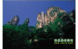 網(wǎng)絡熱門純玩游：張家界、天子山、袁家界、楊家界 自助三日游