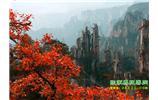 春節(jié)期間：張家界、天子山、金鞭溪自駕車精華精品游