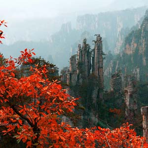 休閑自駕E線：張家界、袁家界、天子山、寶峰湖、鳳凰古城、沱江泛舟四晚五日游