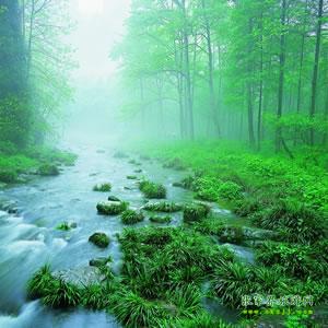 【純玩散拼尊享系列3】張家界、天子山、袁家界、黃龍洞、鳳凰三晚四日游